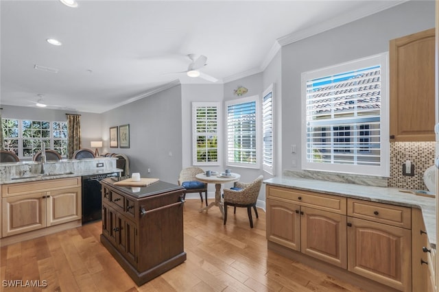 kitchen featuring light stone counters, sink, black dishwasher, and ceiling fan