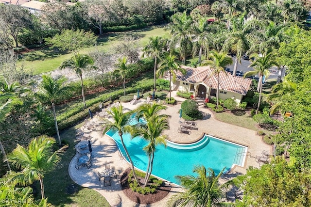 view of pool with a patio