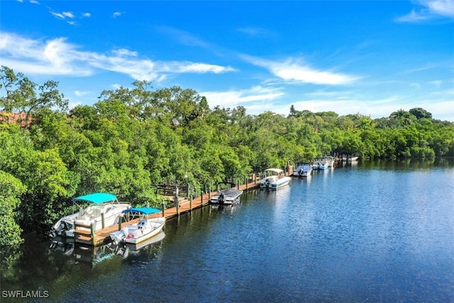 property view of water featuring a boat dock