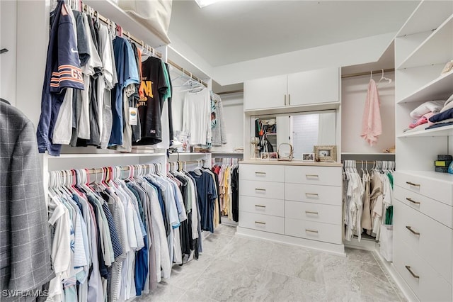 view of spacious closet