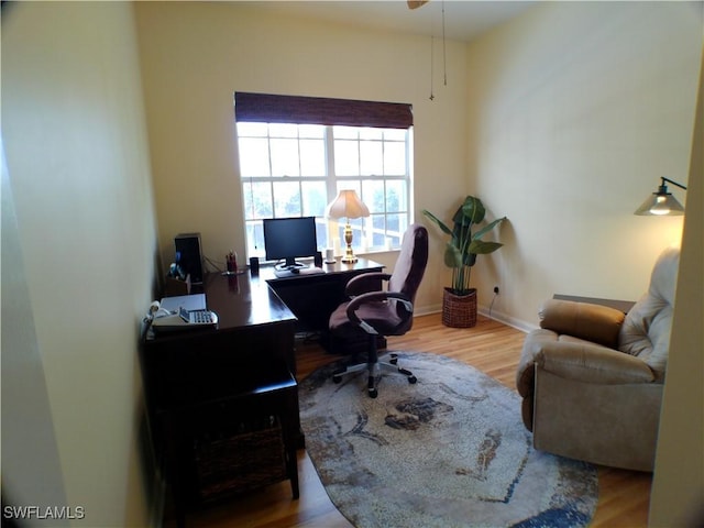 office area featuring light wood-type flooring