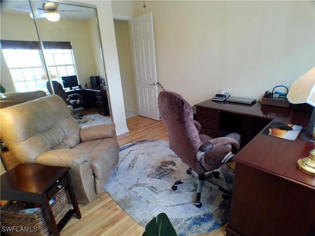 office space featuring ceiling fan and light wood-type flooring