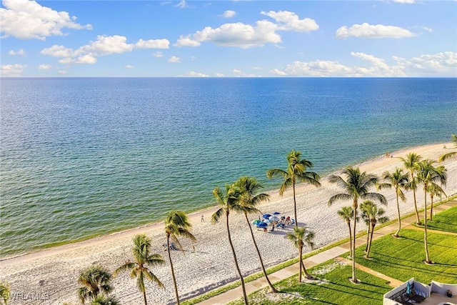 view of water feature with a beach view