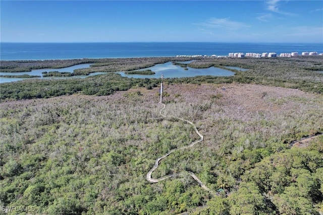 aerial view with a water view