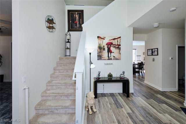 staircase featuring wood-type flooring