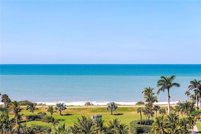 view of water feature featuring a view of the beach