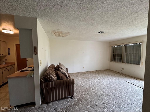 living room with a textured ceiling