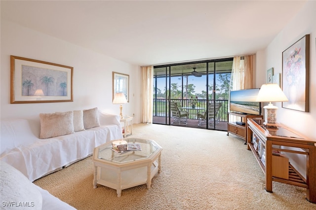 living room with a wall of windows and carpet floors