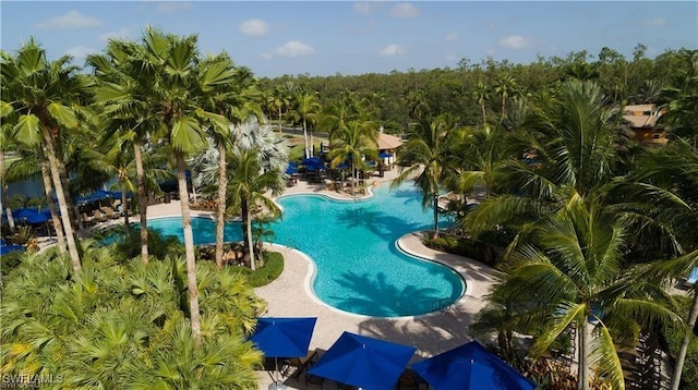 view of swimming pool with a patio area