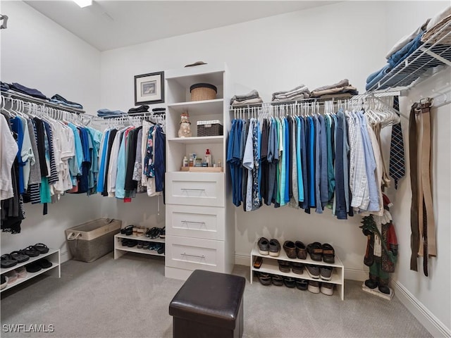 spacious closet with carpet floors