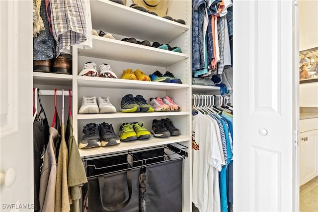 view of spacious closet