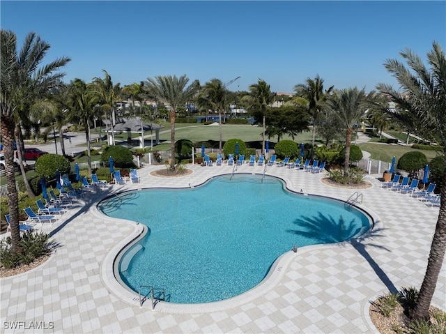 view of pool with a patio area