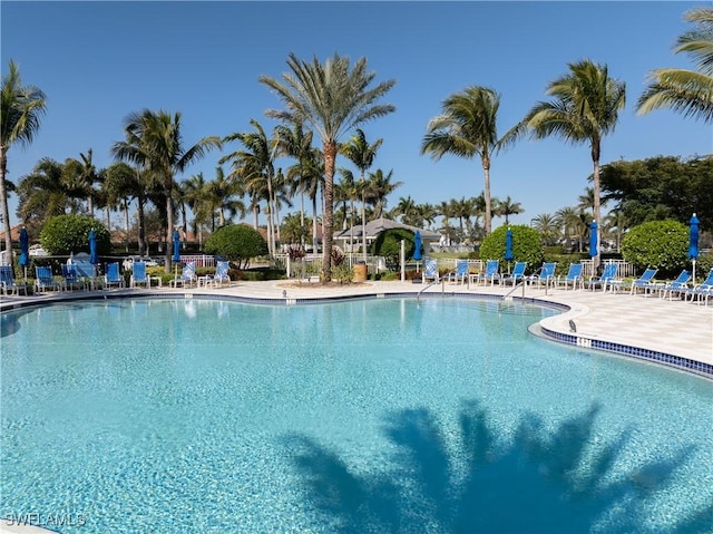 view of pool with a patio area