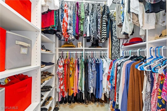 view of spacious closet