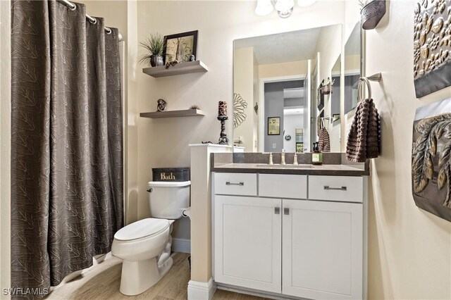 bathroom with vanity, hardwood / wood-style flooring, and toilet