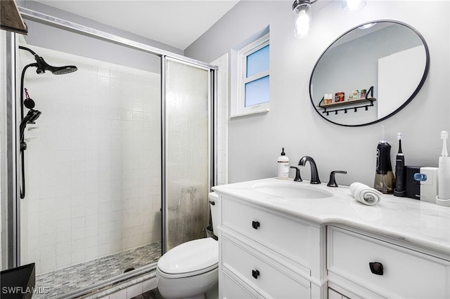 bathroom with vanity, toilet, and a shower with shower door