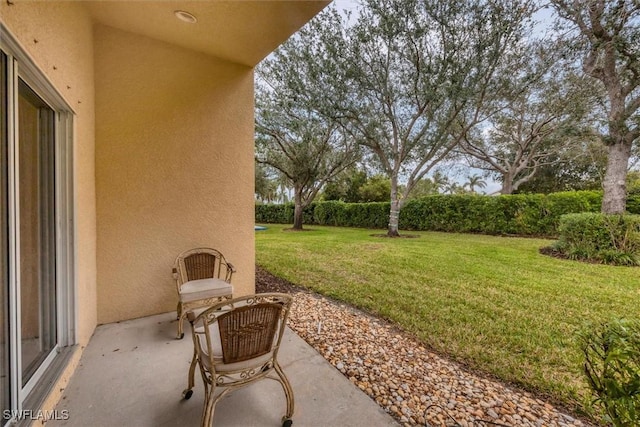 view of yard with a patio area