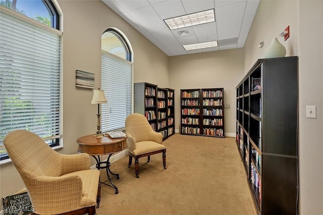 living area with a high ceiling, light colored carpet, and a drop ceiling