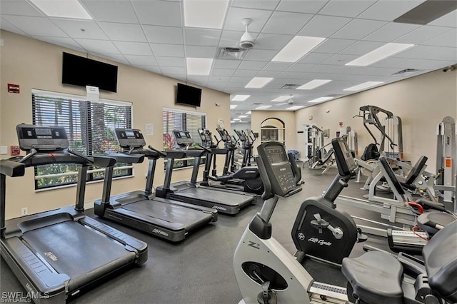 gym featuring a drop ceiling