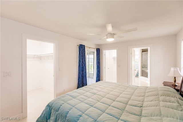 bedroom featuring ceiling fan, a closet, and a walk in closet