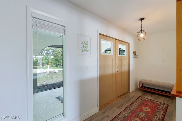 foyer entrance featuring wood-type flooring