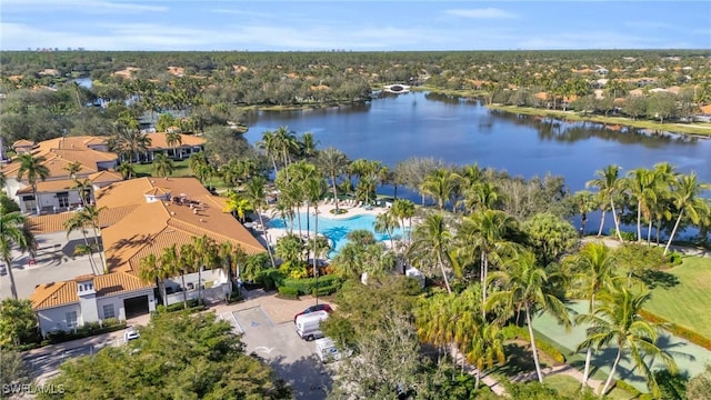 aerial view with a water view