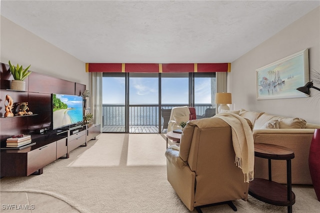 carpeted living room featuring a wall of windows, plenty of natural light, and a textured ceiling