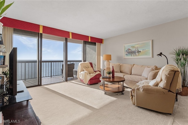 living room featuring a wall of windows