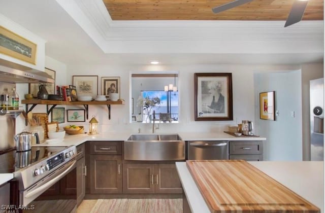 kitchen with appliances with stainless steel finishes, wooden counters, sink, ceiling fan, and a tray ceiling