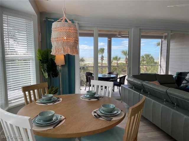 dining room featuring a healthy amount of sunlight and light hardwood / wood-style flooring