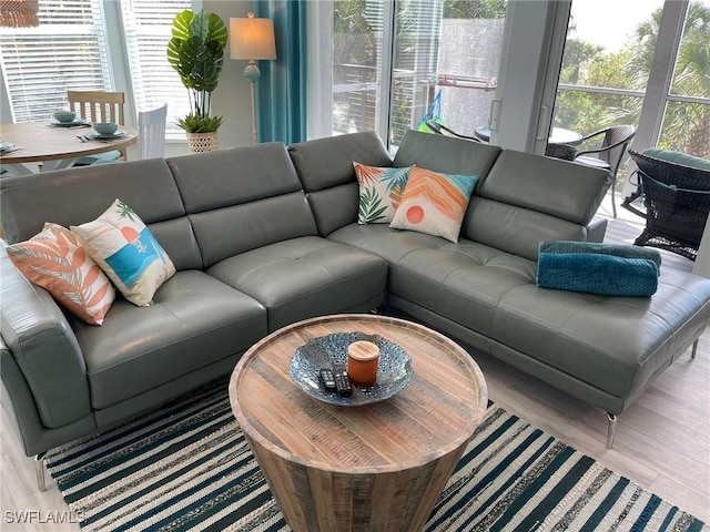 living room with a healthy amount of sunlight and light hardwood / wood-style flooring