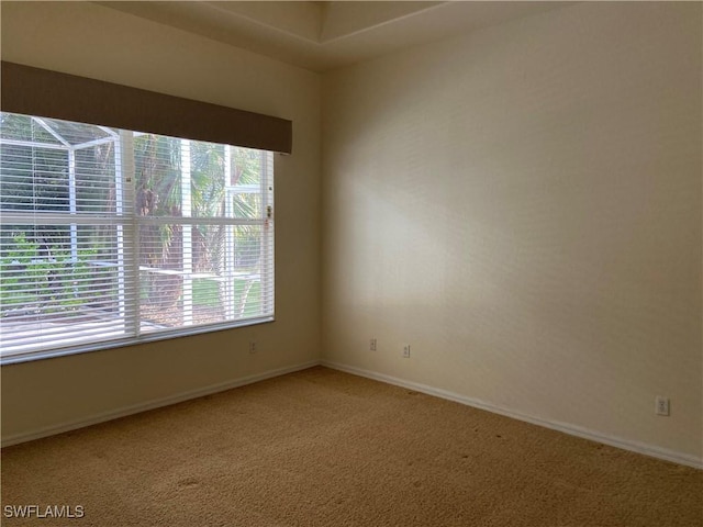 carpeted empty room featuring a healthy amount of sunlight