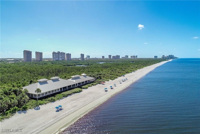 bird's eye view with a water view and a beach view