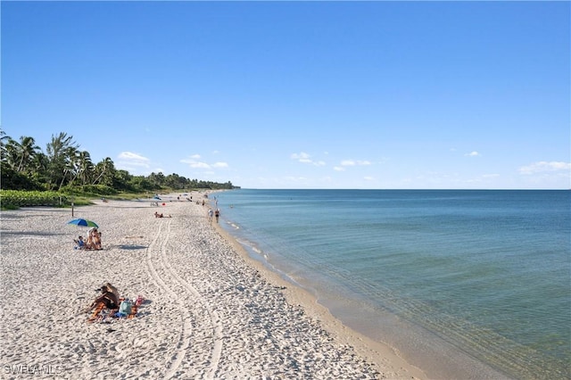 view of water feature featuring a beach view