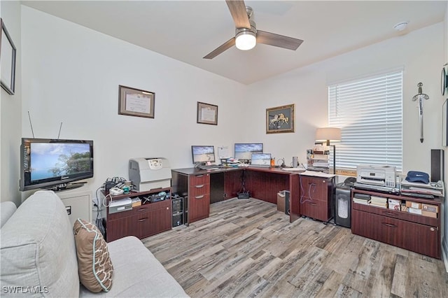 office featuring light hardwood / wood-style floors and ceiling fan