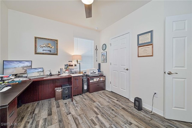 office with ceiling fan and light hardwood / wood-style flooring