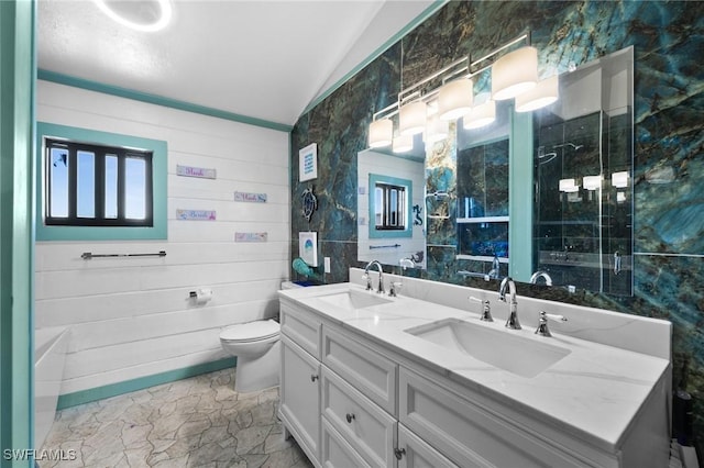 bathroom with vanity, lofted ceiling, and toilet