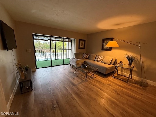 living room featuring hardwood / wood-style floors