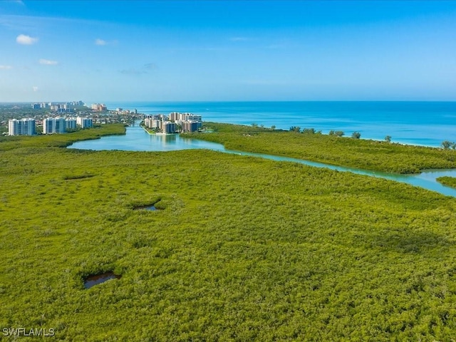 property view of water