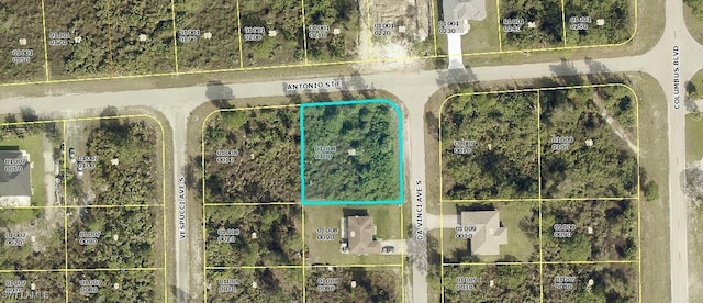 706 Da Vinci Ave S, Lehigh Acres FL, 33974 land for sale