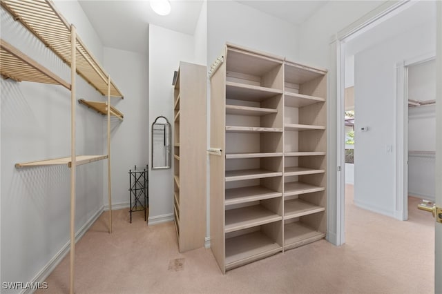 spacious closet with light carpet