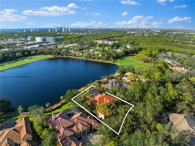 aerial view with a water view