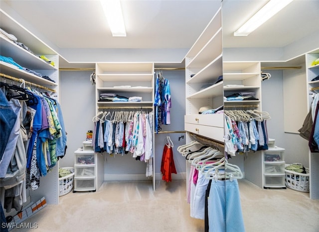 spacious closet with carpet floors