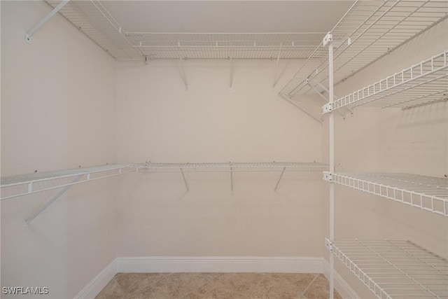 view of spacious closet