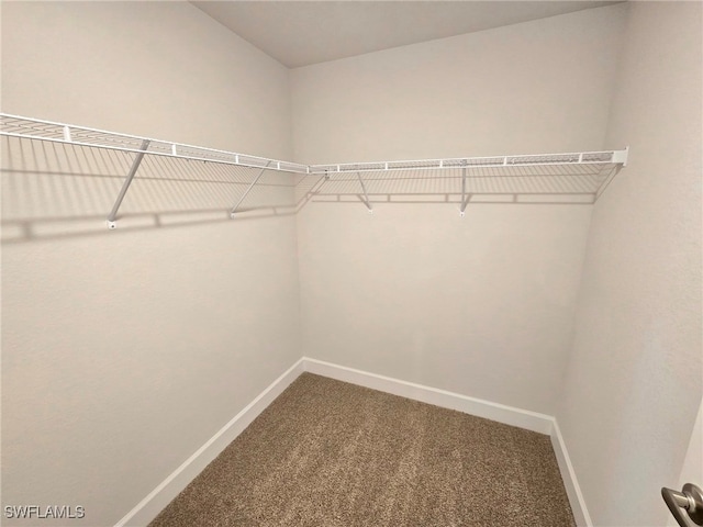 3102 E 2nd St, Lehigh Acres, FL 33936 - walk in closet with carpet