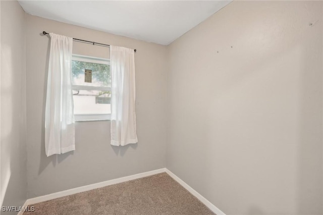 spare room with carpet floors