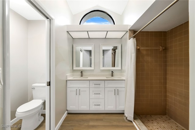 bathroom featuring vanity, toilet, vaulted ceiling, and a shower with shower curtain