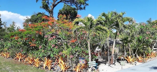 766 W Valley Dr, Bonita Springs, FL 34134 - view of yard