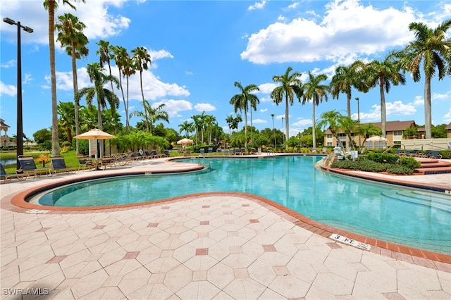 view of pool featuring a patio