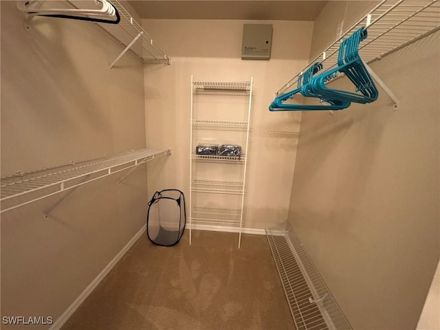 spacious closet with carpet floors